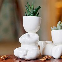 набор для выращивания eco йог во Владимире