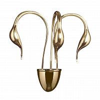 бра lightstar cigno collo 751632 во Владимире