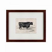 картина: a west highland bull, 1840 во Владимире