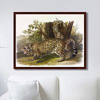 картина: jaguar, 1841г. во Владимире