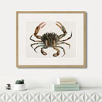 картина: marine life №2, 1725г. во Владимире
