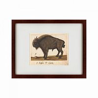 картина: bison, 1560 во Владимире