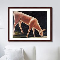 картина: roe deer drinking from a stream, 1901г. во Владимире