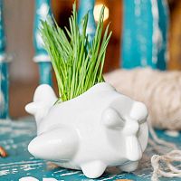 набор для выращивания eco самолет во Владимире