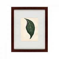 картина: the leaf, 1871 во Владимире