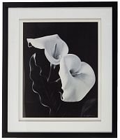 постер с паспарту в раме elegance calla во Владимире