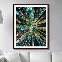 картина: deep forest во Владимире