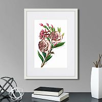 картина: caribian flora pink gardenia flower branch, 1740г. во Владимире