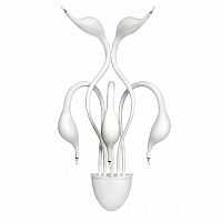 бра lightstar cigno collo wt 751656 во Владимире