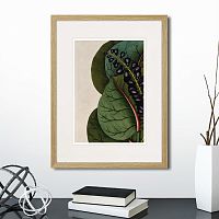 картина: exotic plants of the world №7, 1815г. во Владимире