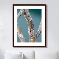 картина: trees on the galapagos islands, ecuador no3 во Владимире