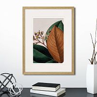 картина: exotic plants of the world №14, 1815г. во Владимире