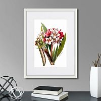 картина: caribian flora pink plumeria flower branch, 1740г. во Владимире