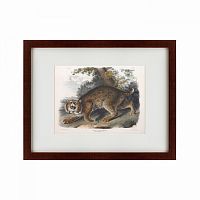 картина: bobcat, 1839 во Владимире