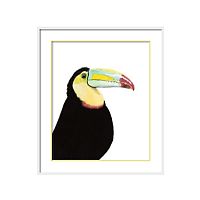 постер toucan разноцветный во Владимире