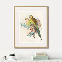 картина: love parrots, 1850г. во Владимире