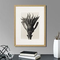 картина: botanical philosophy of forms №8, 1912г. во Владимире