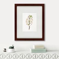 картина: pear tree flowers (pyrus calleryana), 1830 во Владимире