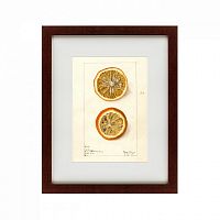 картина: watercolor collection, drawing №5, 1910 во Владимире