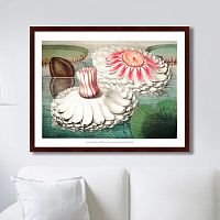 картина: water lily during bloom, 1870г. во Владимире