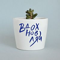 набор для выращивания eco мини-кашпо «вдохновляй» во Владимире