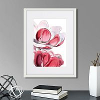 картина: himalaya plants pink-flower on white iii, 1869г. во Владимире