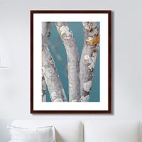 картина: trees on the galapagos islands, ecuador no1 во Владимире