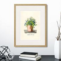 картина: botany illustration №9, 1836г. во Владимире