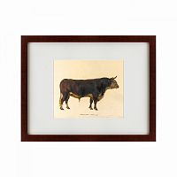 картина: the bull, 1797 во Владимире