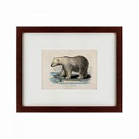 картина: white polar bear on an ice, 1830 во Владимире