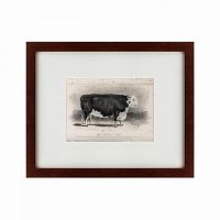 картина: a hereford bull, 1849 во Владимире