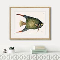 картина: marine life №3, 1725г. во Владимире