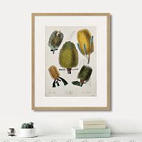 картина: exotic plants of the world №1, 1815г. во Владимире