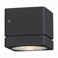 уличный настенный светодиодный светильник st luce coctobus sl563.401.01 во Владимире