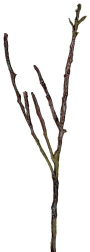 декор dry branches во Владимире