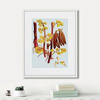 картина: himalaya plants red branch with yellow flowers, 1869г. во Владимире