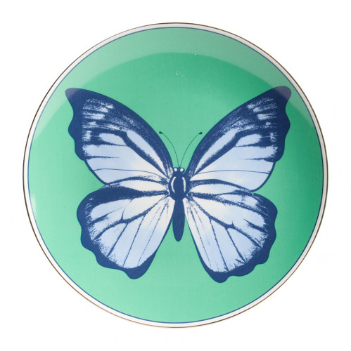 тарелка butterfly малая во Владимире