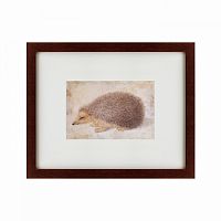 картина: a hedgehog, 1584 во Владимире