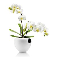 горшок для орхидеи orchid pot белый во Владимире