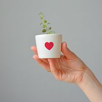 набор для выращивания eco мини-кашпо «сердце» во Владимире