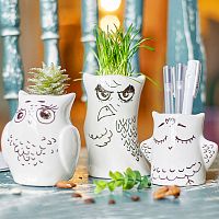горшки для растений eco совы, 3 шт во Владимире