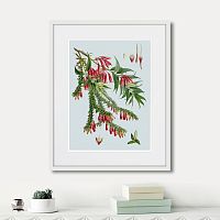 картина: himalaya plants red flower branch, 1869г. во Владимире