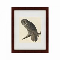 картина: great gray owl, 1834 во Владимире