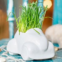 набор для выращивания eco машина во Владимире