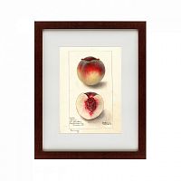 картина: watercolor collection, drawing №4, 1905 во Владимире