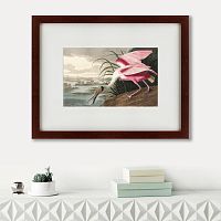 картина: roseate spoonbill, 1827 во Владимире