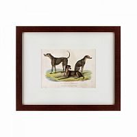 картина: three african bloodhounds, 1830 во Владимире