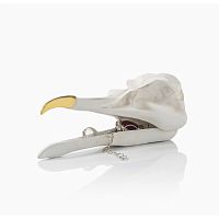 шкатулка для украшений bird skull (белый) во Владимире
