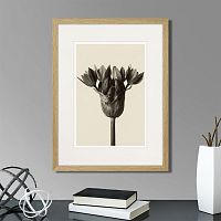 картина: botanical philosophy of forms №5, 1912г. во Владимире