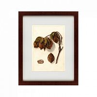 картина: watercolor collection, drawing №3, 1909 во Владимире